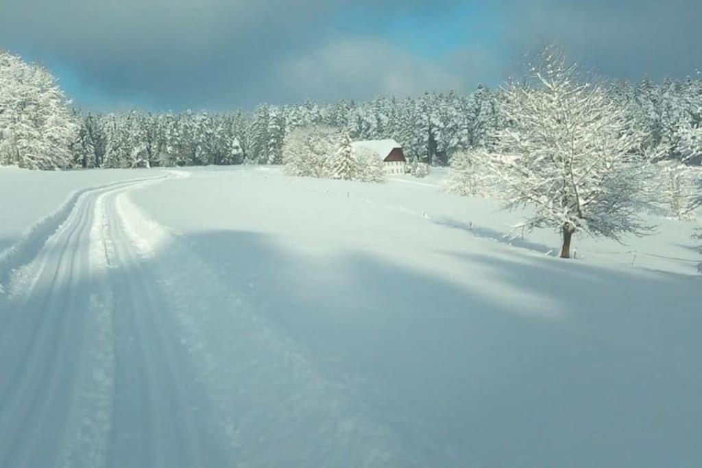 Ferienwohnung Im Schwarzwald Unterkirnach Exteriör bild